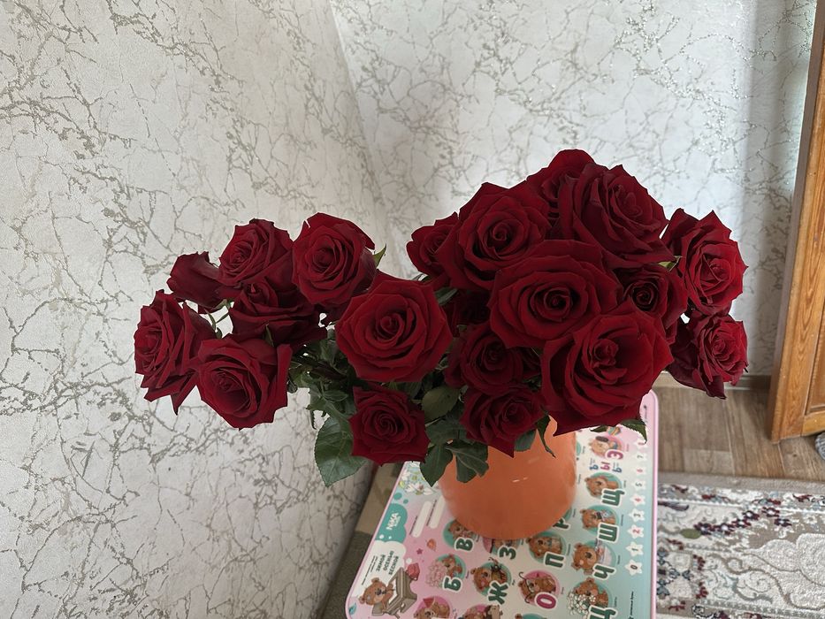 Продам розы метровые 31шт