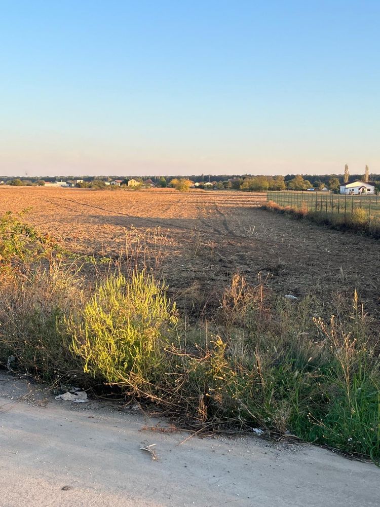 Vand teren  in Bolintin Deal , in suprafata de 3500mp-8600mp