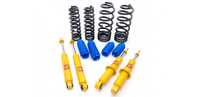 Kit suspensie Terrain Tamer TGS +5cm Land Cruiser 120