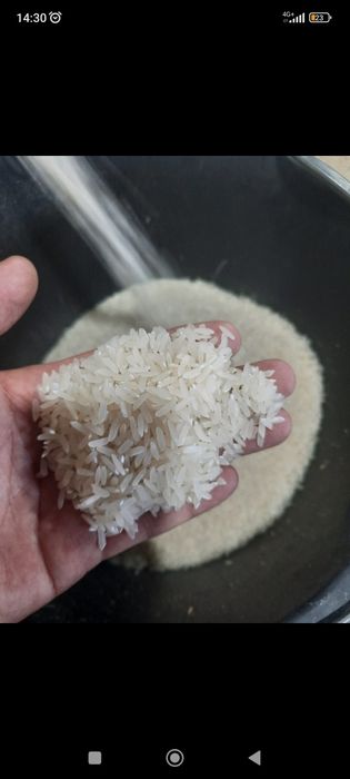 Лазер күріш для плова