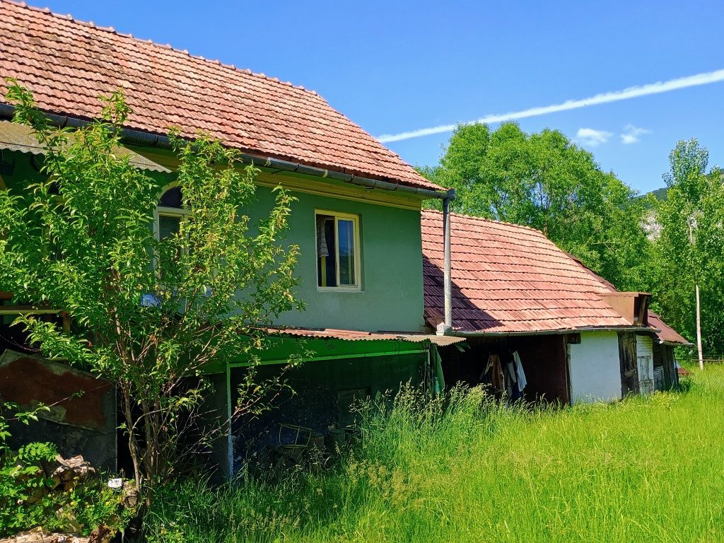 Casa de vacanta ,ideal pensiune