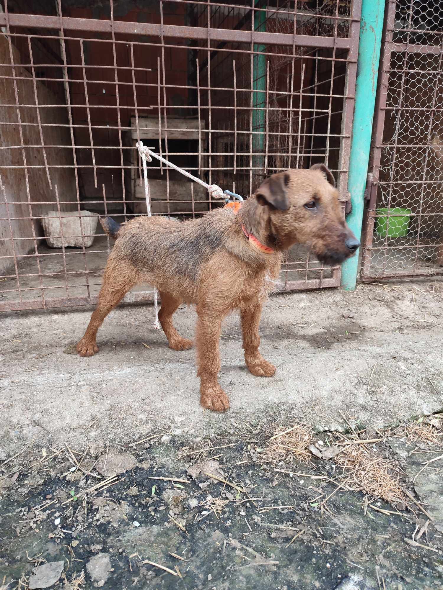 Disponibilă urgent!