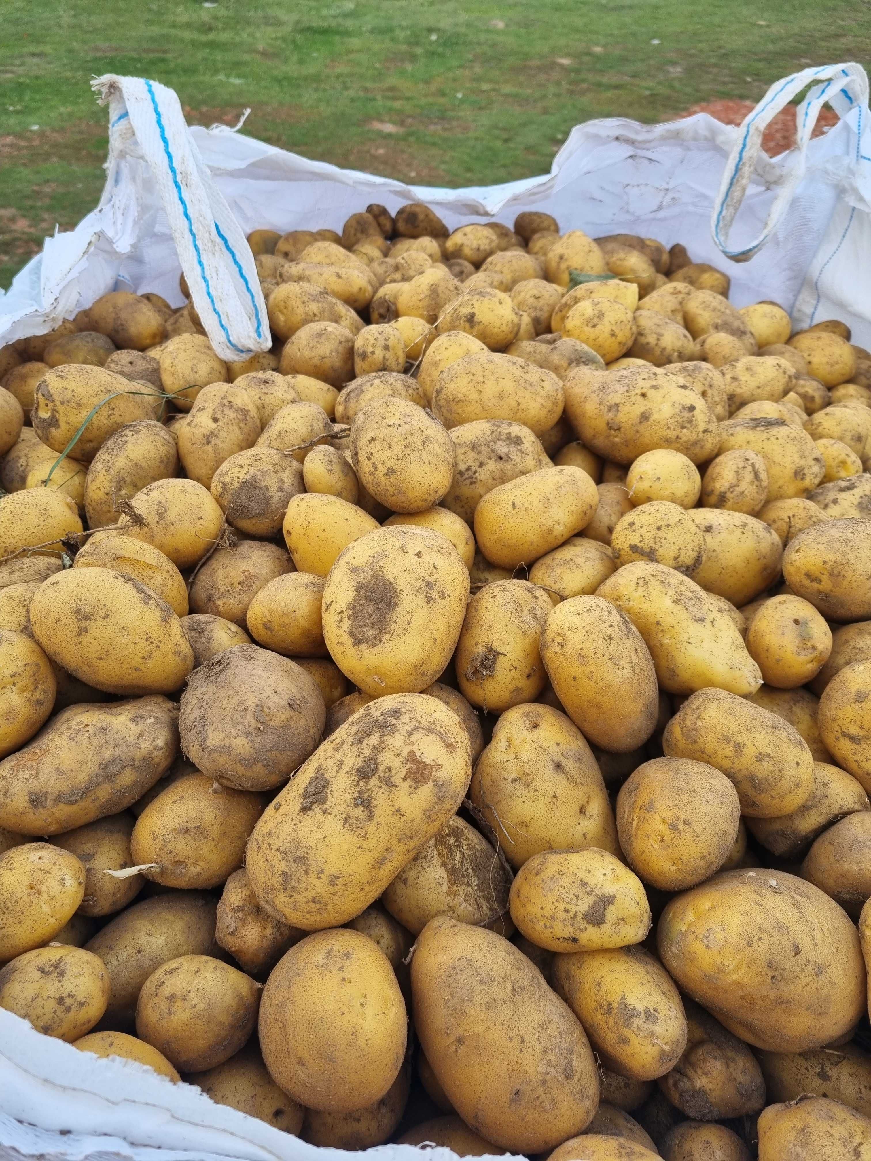 Продавам Картофи