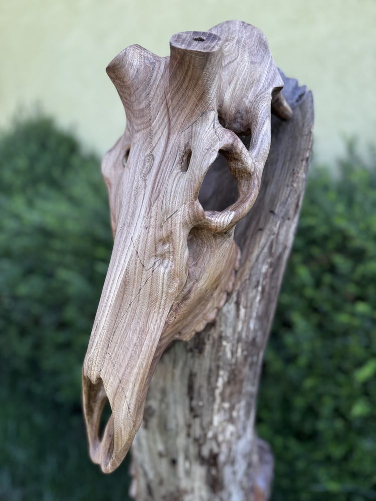 Череп от дърво на благороден елен . дърворезба,трофей,лов