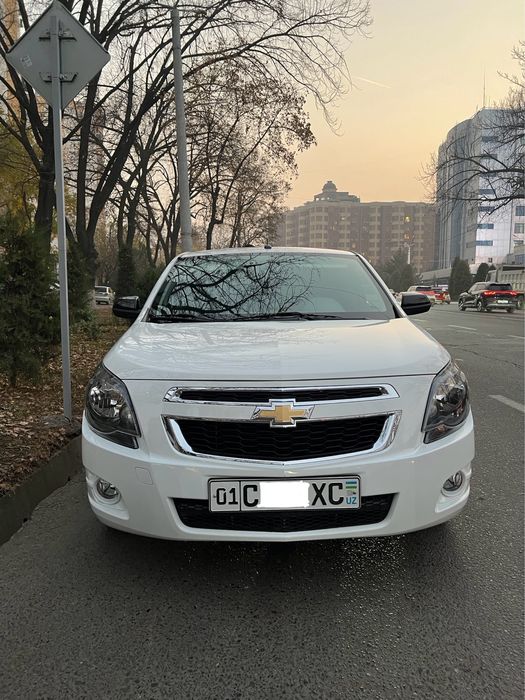 Cobalt midnight 24/25