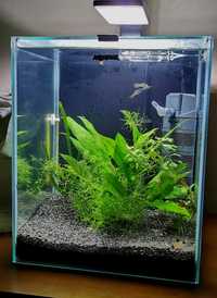 Acvarii Aquael Shrimp Smart 2 si Tetra Starter Line 54 l