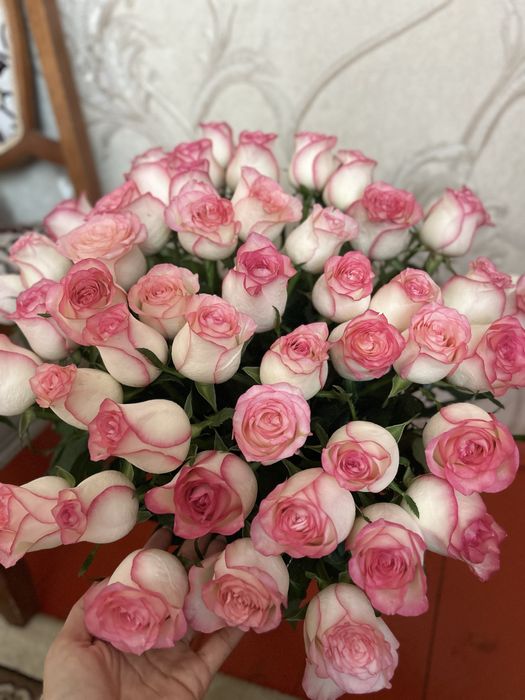 Свежий гүл, цветы