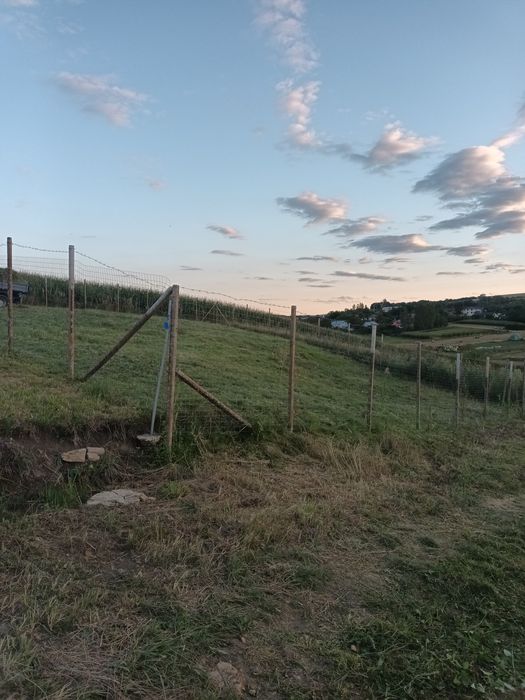 Teren în Valea fanatelor