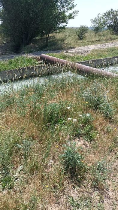 Участок под бизнес