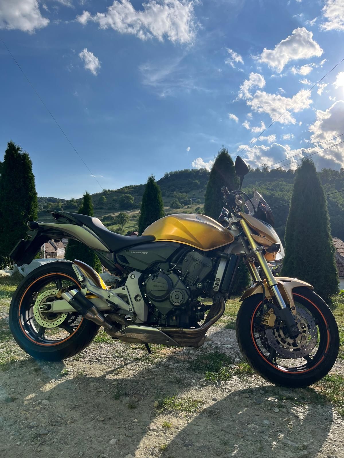 Honda hornet cb 600f pc 41