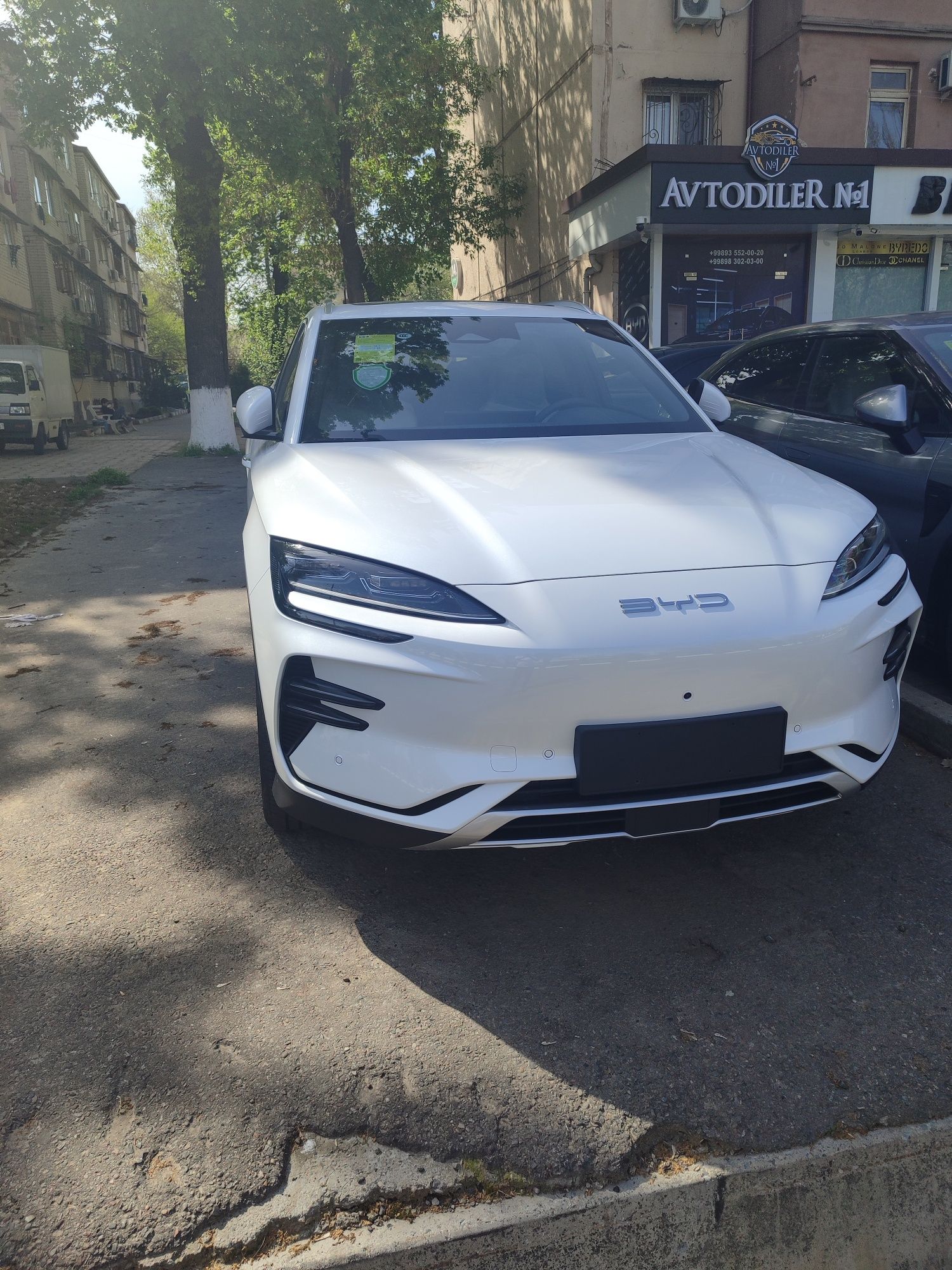 Byd champion  smart 2025/2025 нотариус