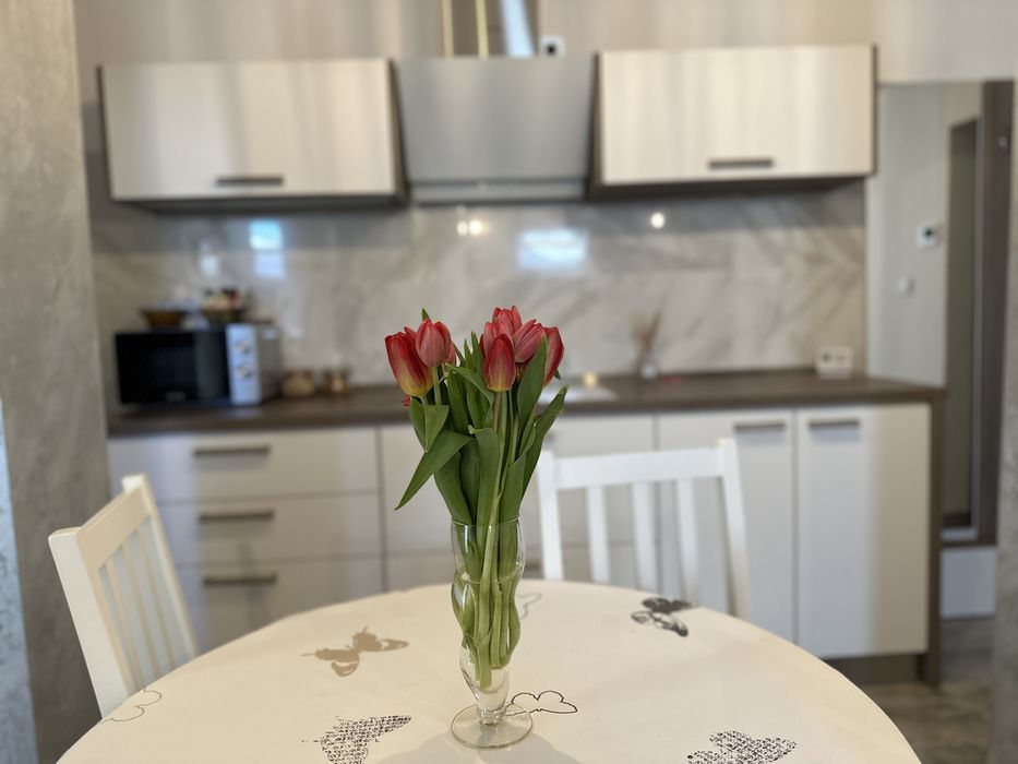 Apartament de inchiriat in regim hotelier zona pietonal exclus escorte