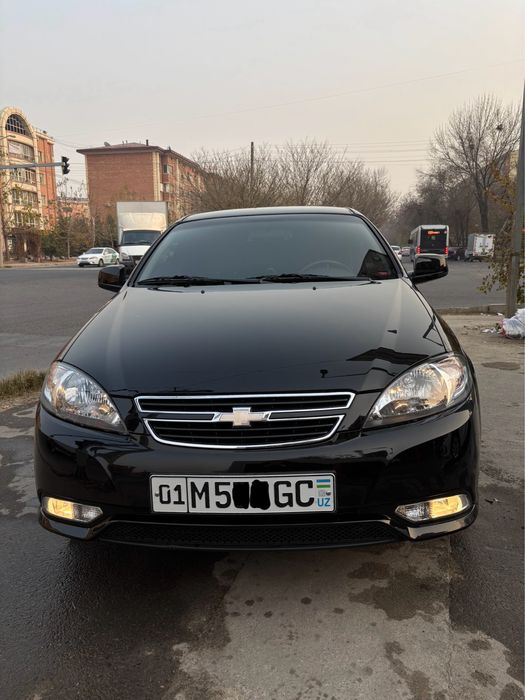 Жентра черный 2023