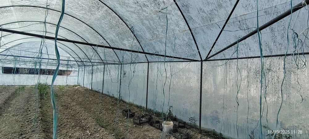 1 sotixli issiqxona (парник)sotiladi.‼️