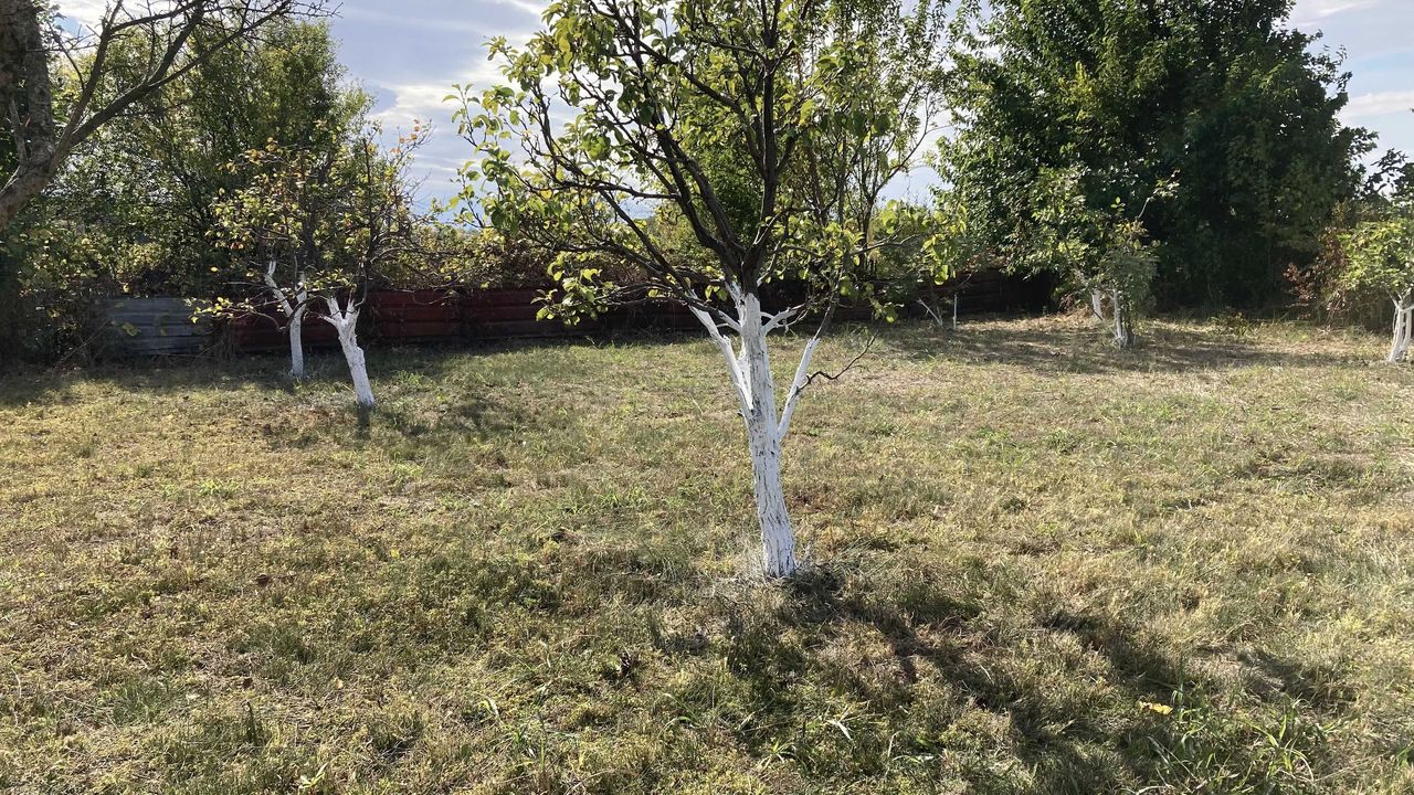 Продава се Къща в с. Ахматово, Област Пловдив - 92 кв.м за 381 €/кв.м - Снимка #18
