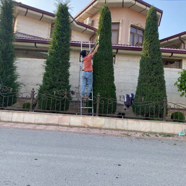 Archa kesish va dorilash xizmati