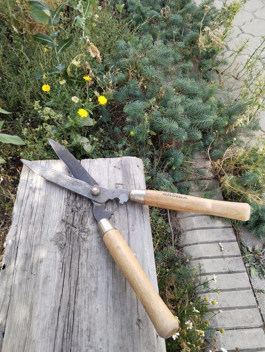 Продам садовые ножницы