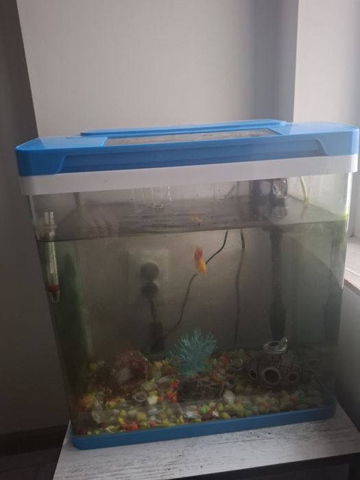 Продавам аквариум