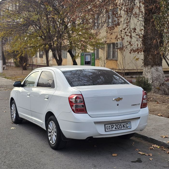 Arenda Vikub Kobilt Aftamat Toza