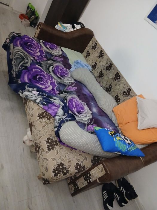 Canapea cu lada de depozitare