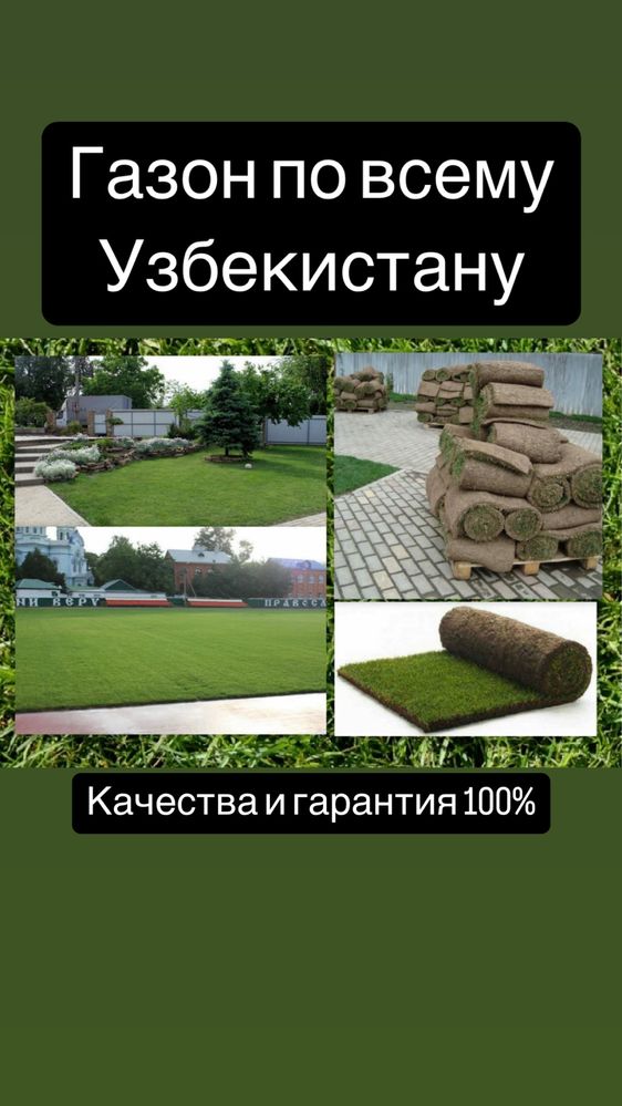 Газоны посевные и руллоные,полив,микроклимат,сетка