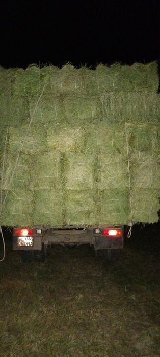 Жоңышқа сатылады 1600тг апарып беруімен