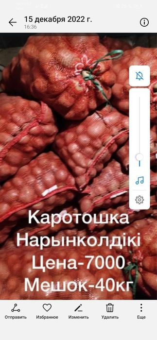 Карточка Нарынкол