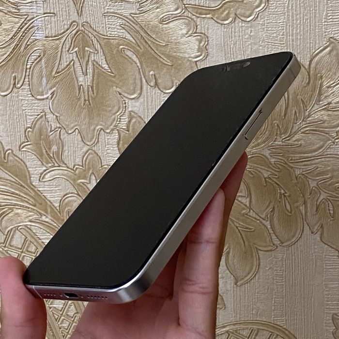 iPhone 15 Pro Max Silver 256GB