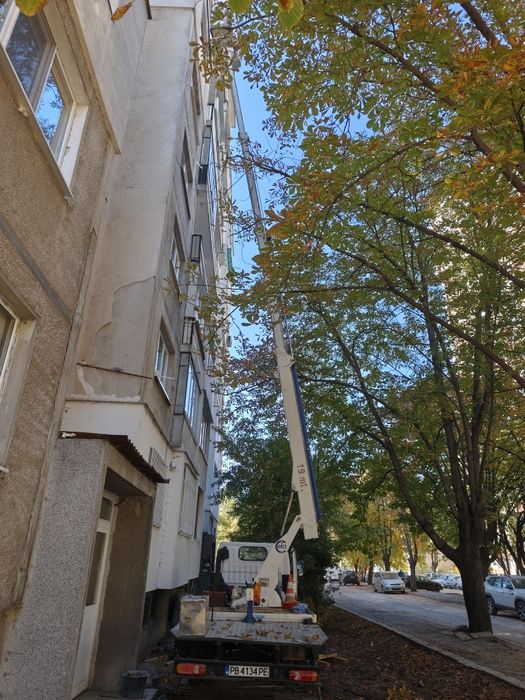 Услуги с Автовишка до 19 м.