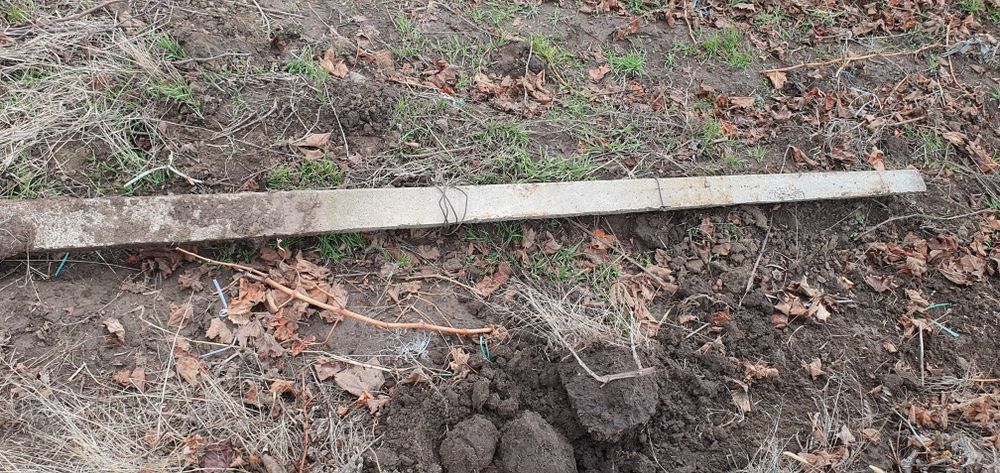 Vând spalieri de vie din beton