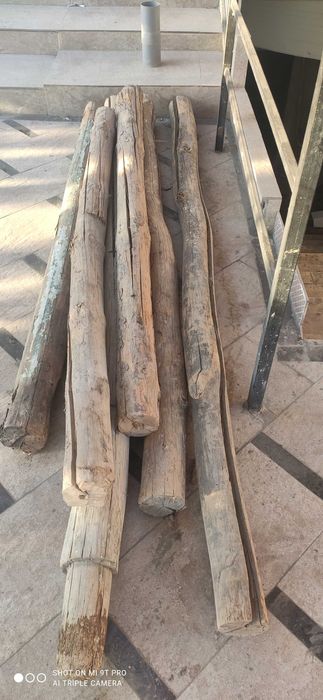 Продаются болори