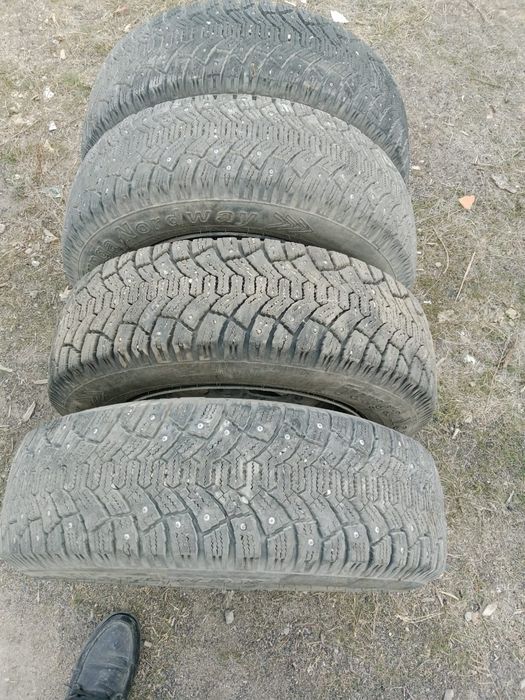 Қыстық дөнгелектер