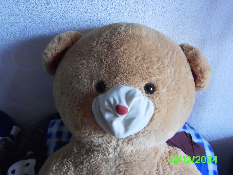 .redus capac Wc ,carucioare papusi multe plusuri mici si mari Jucarii