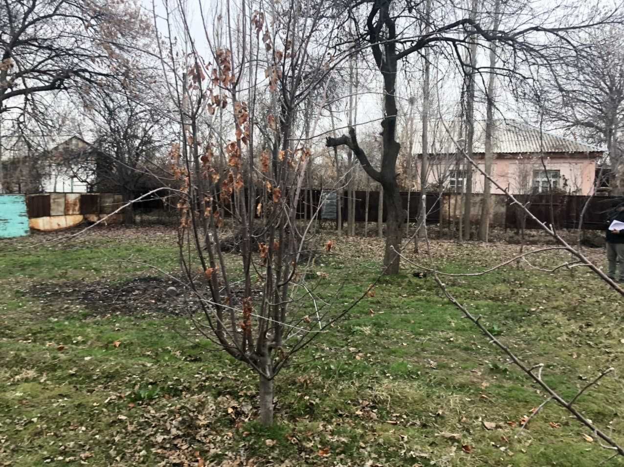 Продается дачный участок 6 соток в Паркенте. 4 км от Янги Тошкент