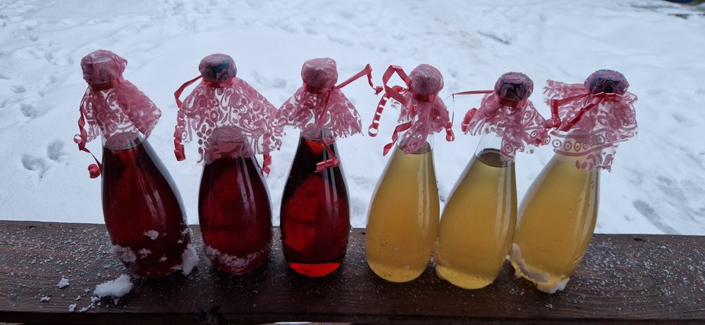 Sirop de brad cu molid si sirop de soc