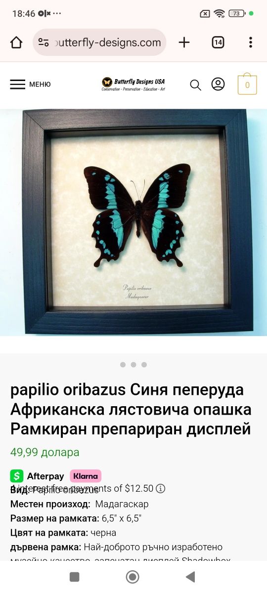 Препарирани пеперуди