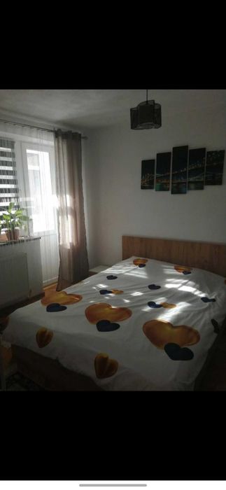 Apartament ultra central in regim hotelier Petrosani