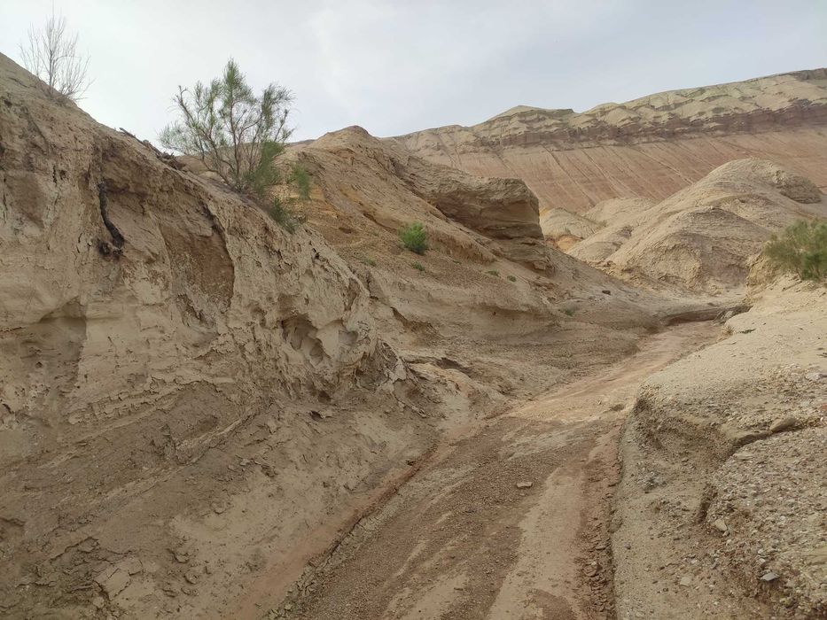 БАО Алмарасан прокат джипа аренда минивэн микроавтобус минивэн с водит