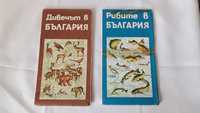 Две стари карти на България - лов и риболов - БЛРС - 1980 година