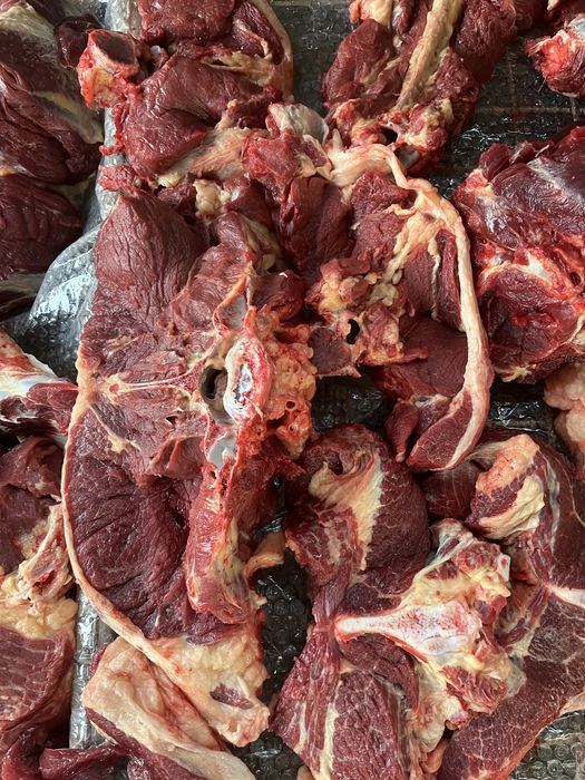 Продам согым конину