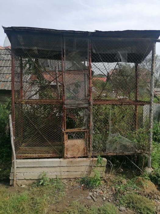 Loc pentru  depozitat  porumbul   ( Costei.)