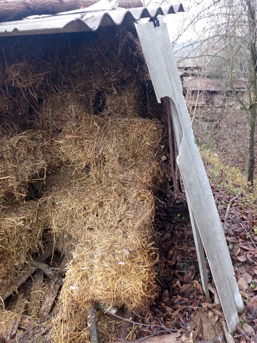 vând baloți lucernă