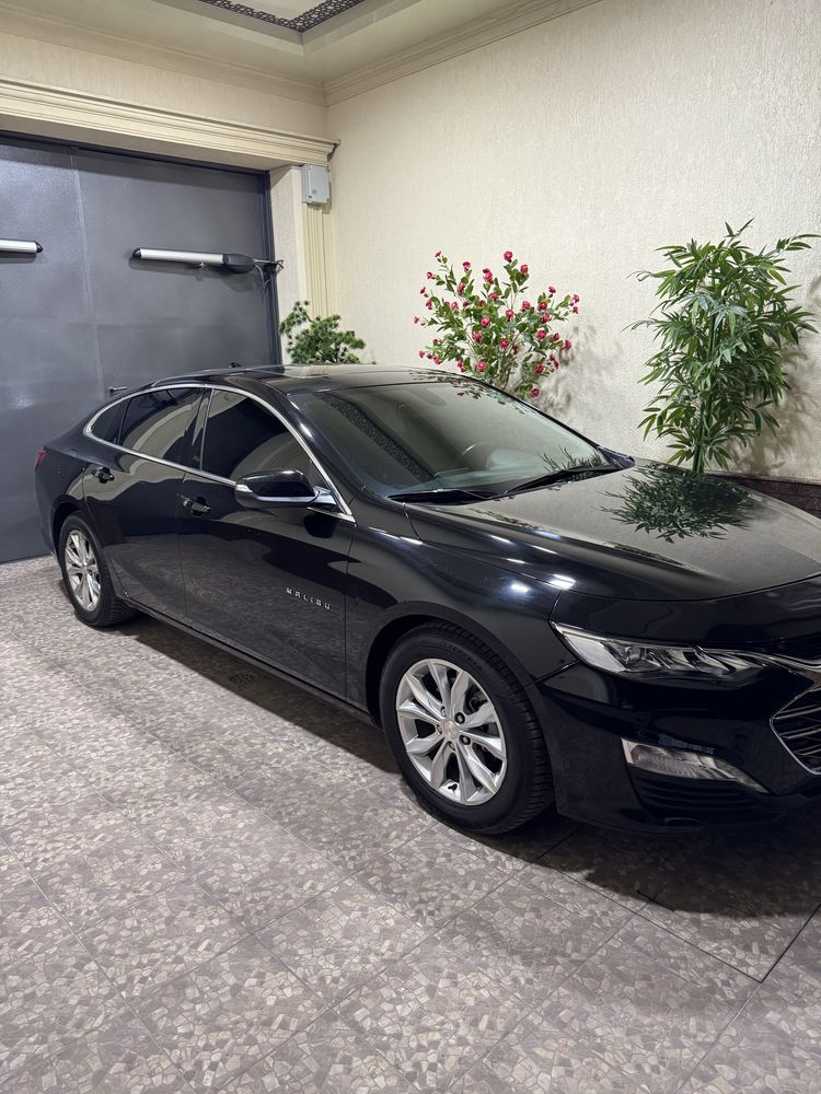 Malibu-2 Premier 2020