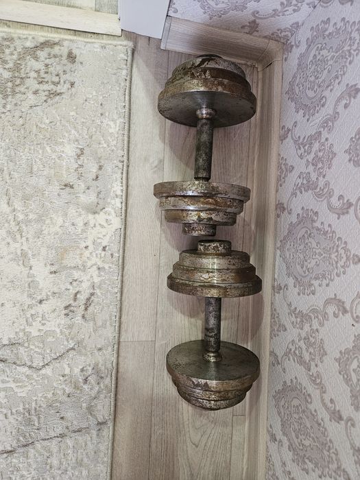 Гантели. Общий вес 30 кг. Вес одной 15 кг