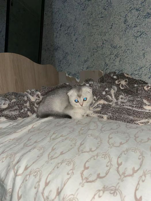 Город уральск продам