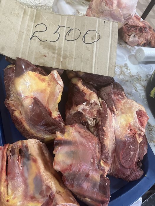 Продам конина молодая