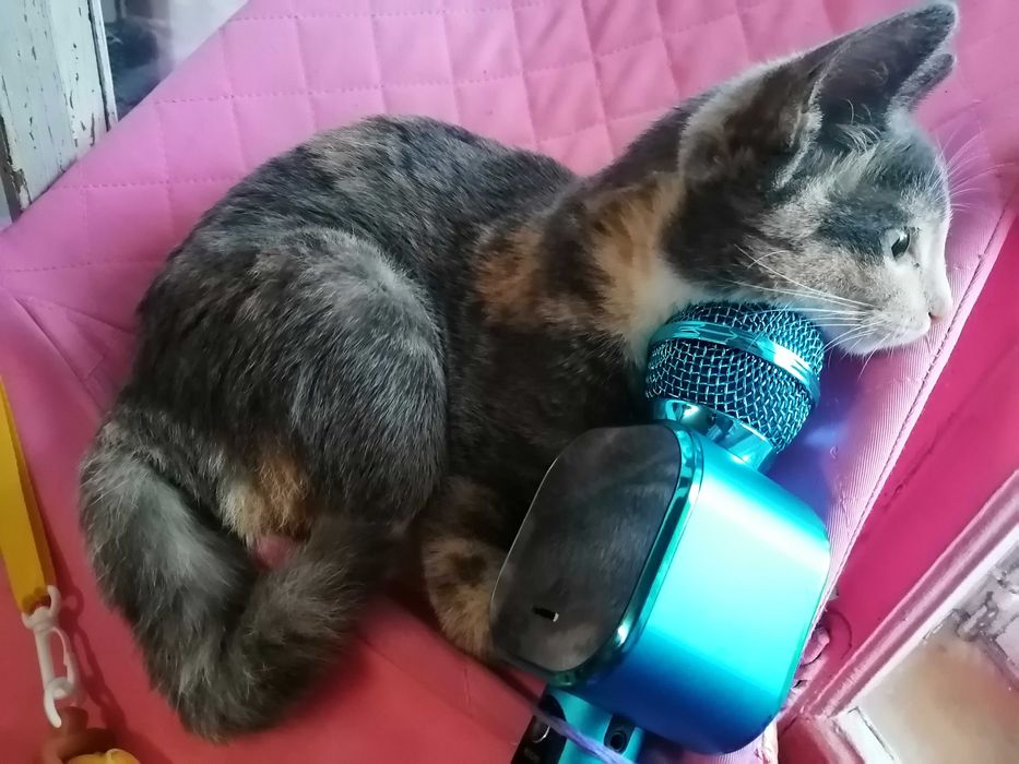 РОУСС!!! -34° было в ночь когда она должна была родится.