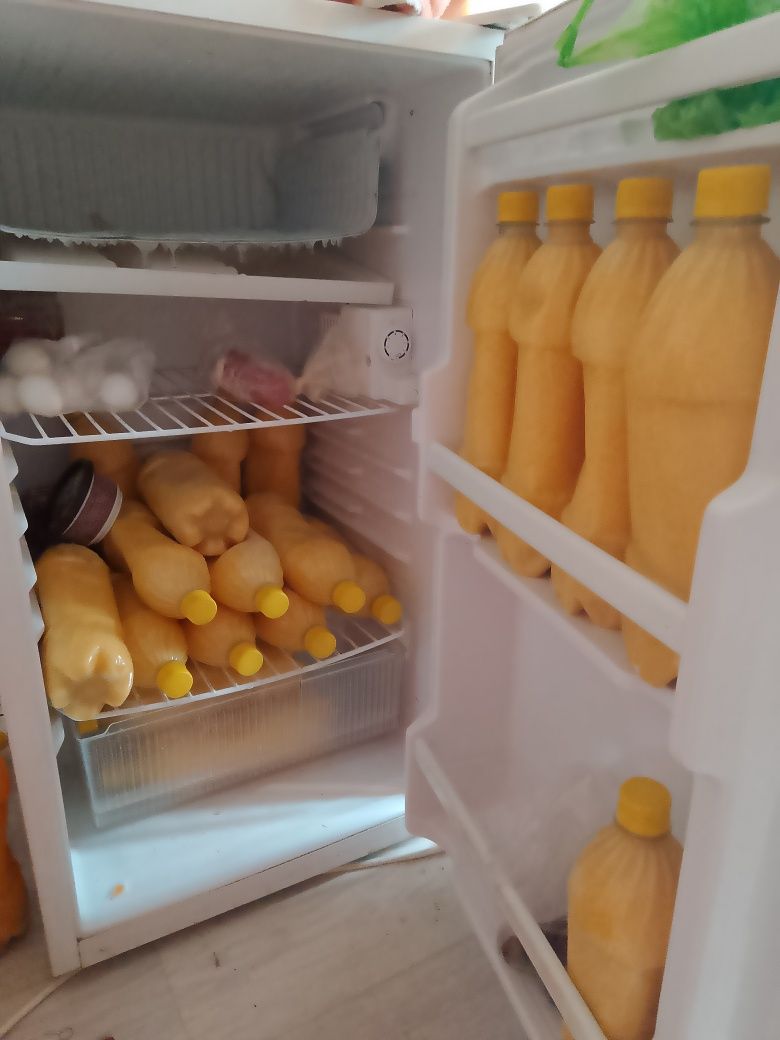 Холодиник кішігірім