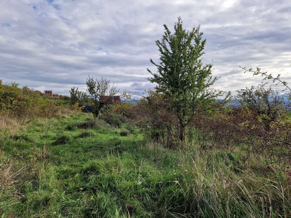 Teren vanzare in Iris, Valea Chintaului, strada Pomet