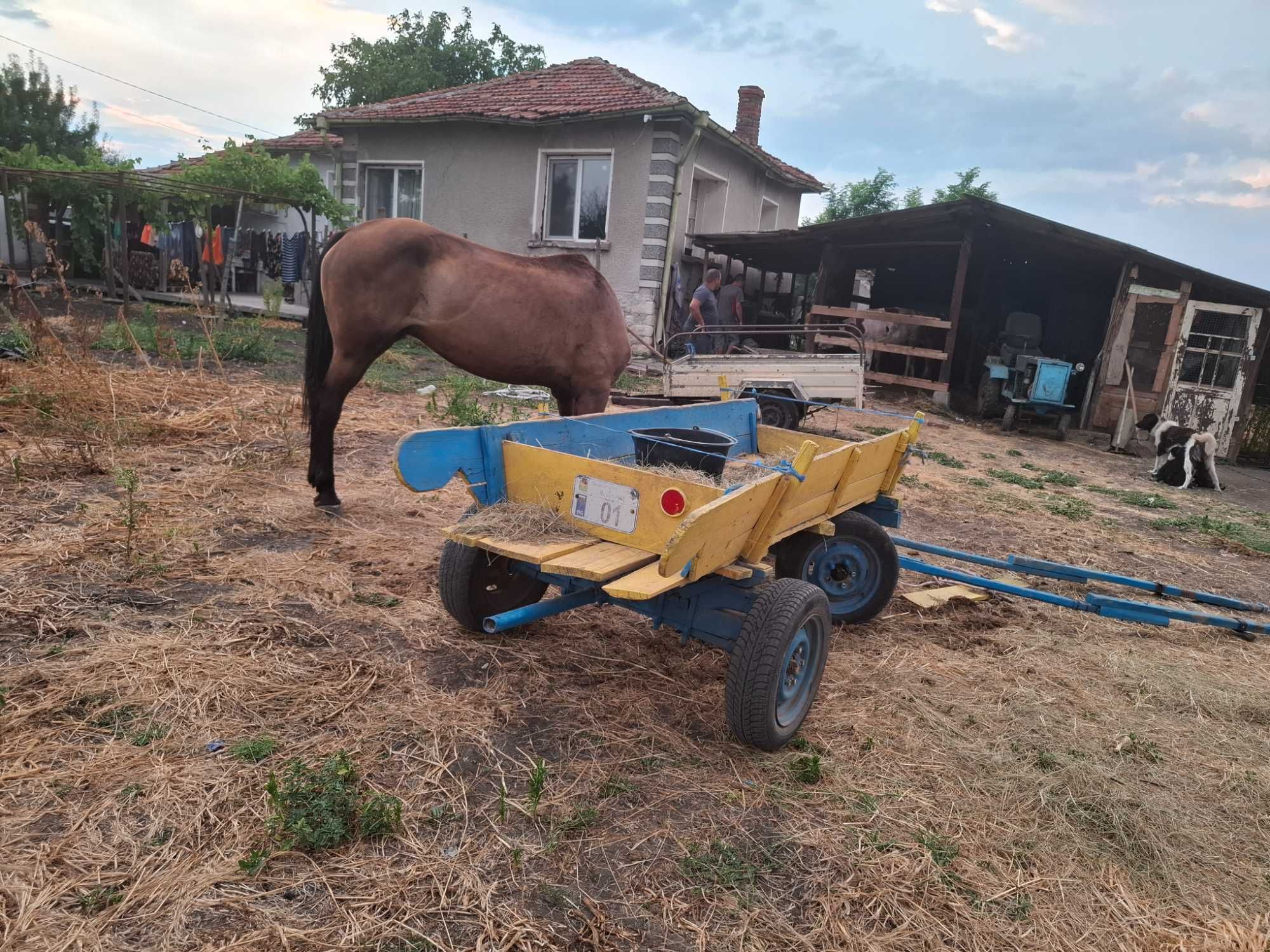Продавам кобила гола със каруца